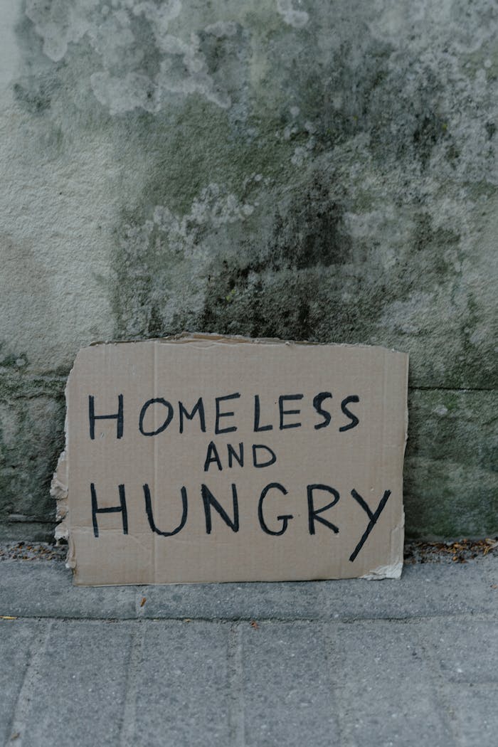 about-01 Cardboard sign with message 'Homeless and Hungry' against a concrete wall.